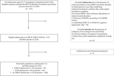 Perceived Family Functioning Profile in Adolescents at <mark class="highlighted">Clinical High Risk</mark> for Psychosis: Rigidity as a Possible Preventive Target